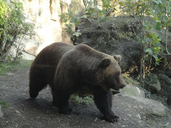 Alpenzoo Innsbruck © Alpenzoo